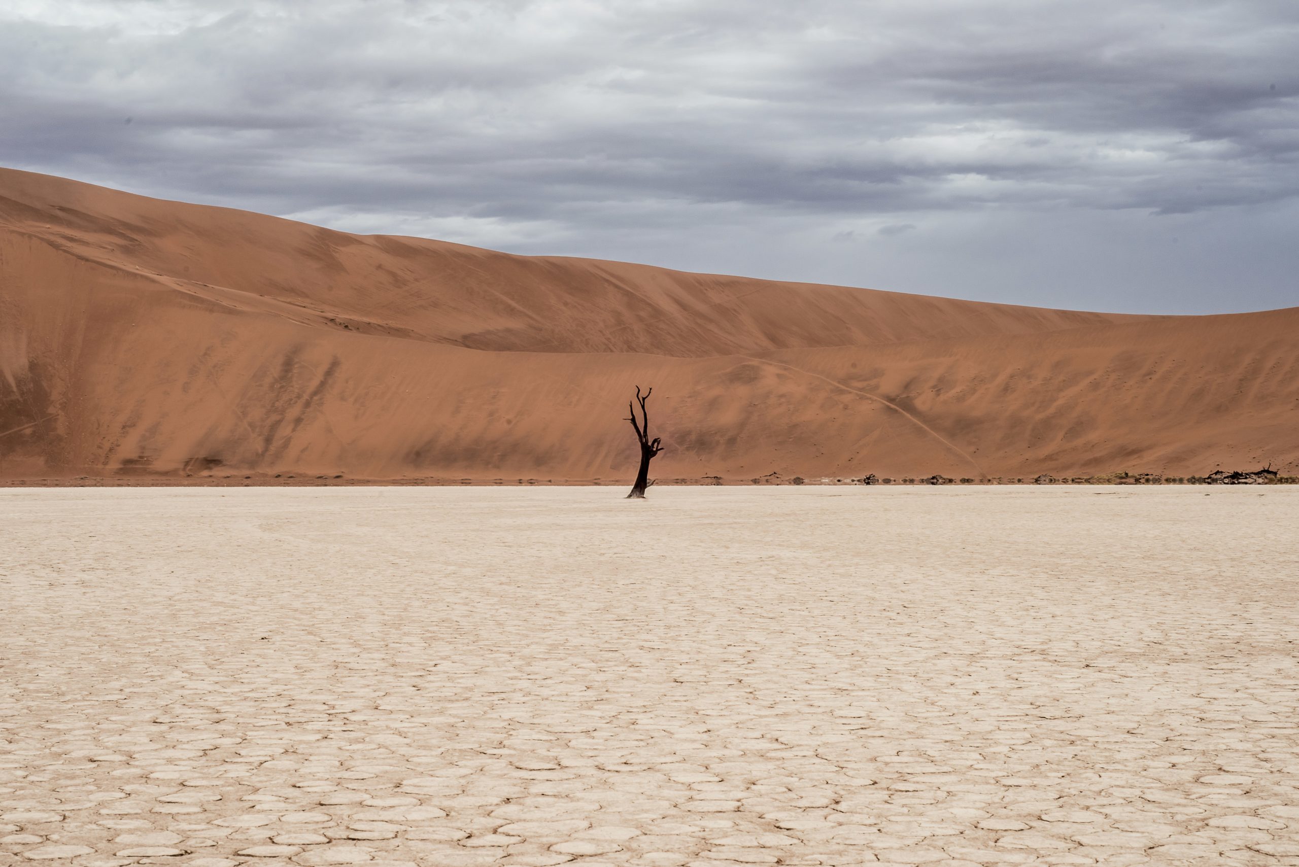 desert art intervention